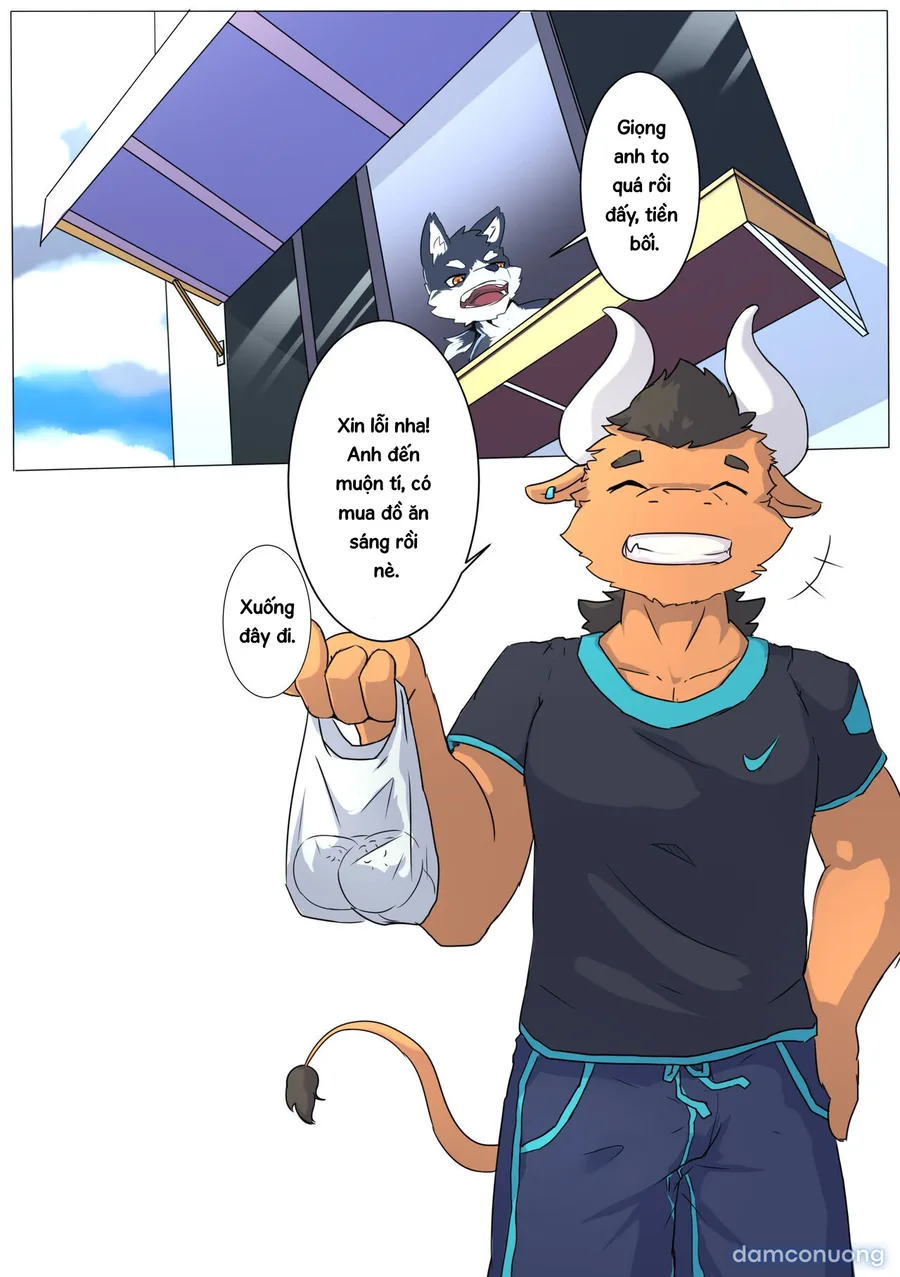 Tổng các bộ furry của khách. 