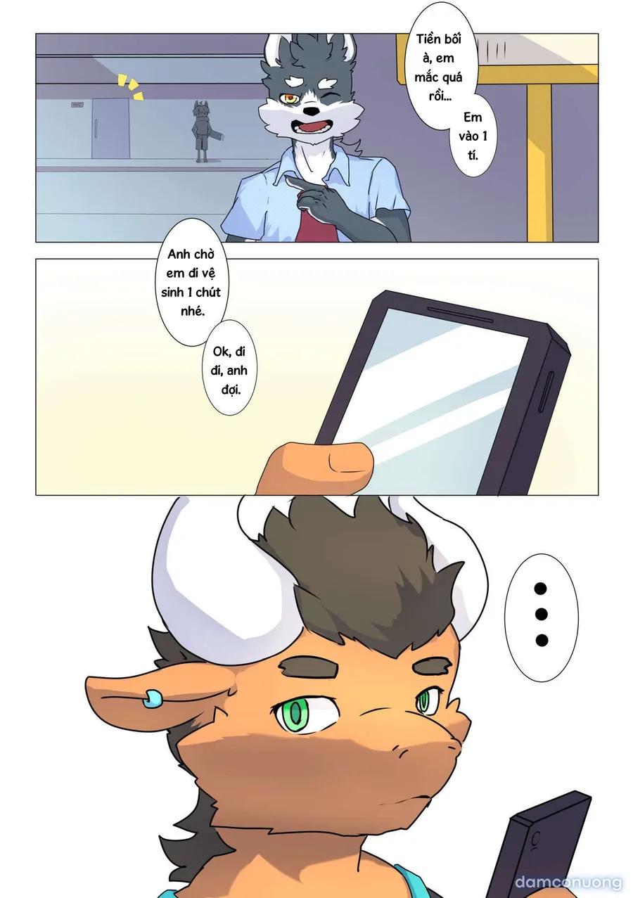 Tổng các bộ furry của khách. 
