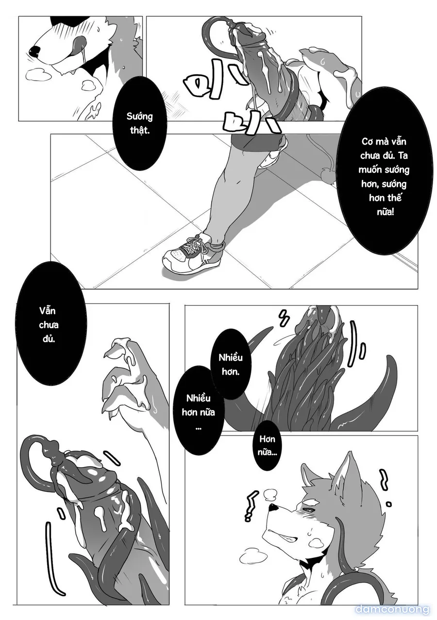 Tổng các bộ furry của khách. 