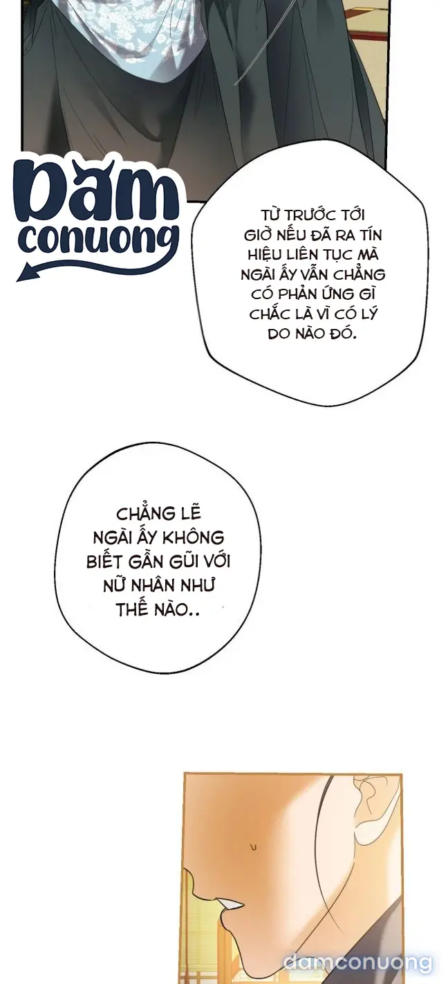 Đêm Trăng Tròn 