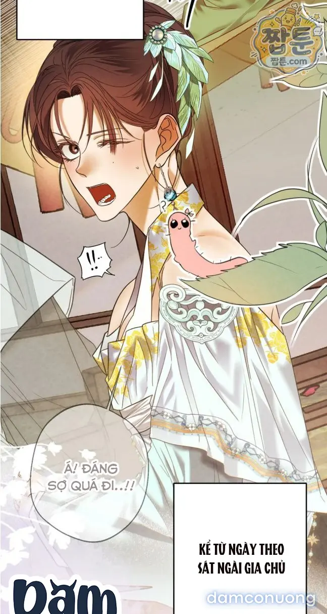 Đêm Trăng Tròn 
