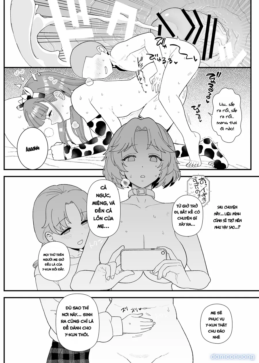 Y-kun 