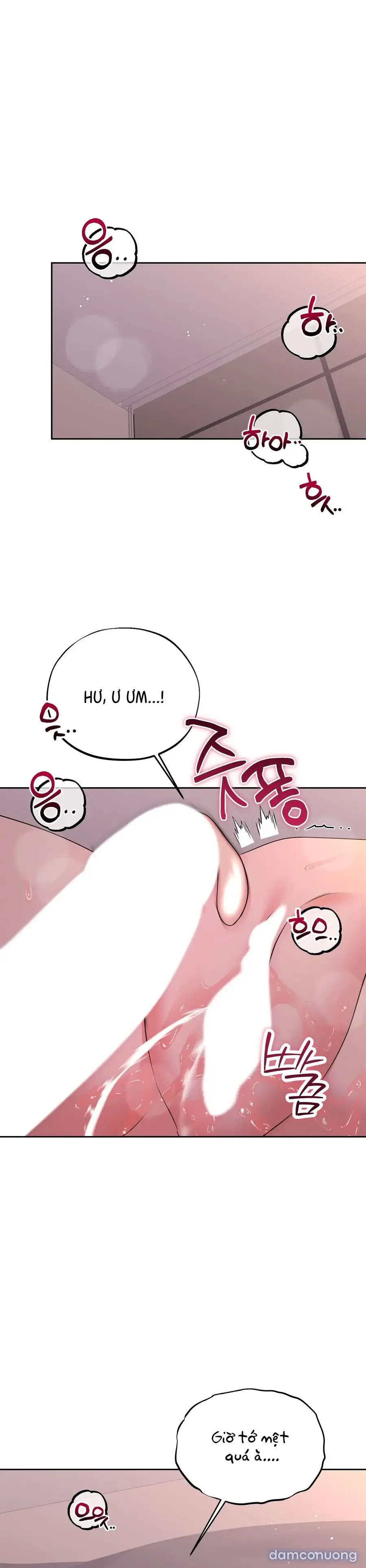 Người Bạn Không Thể Thay Thế 