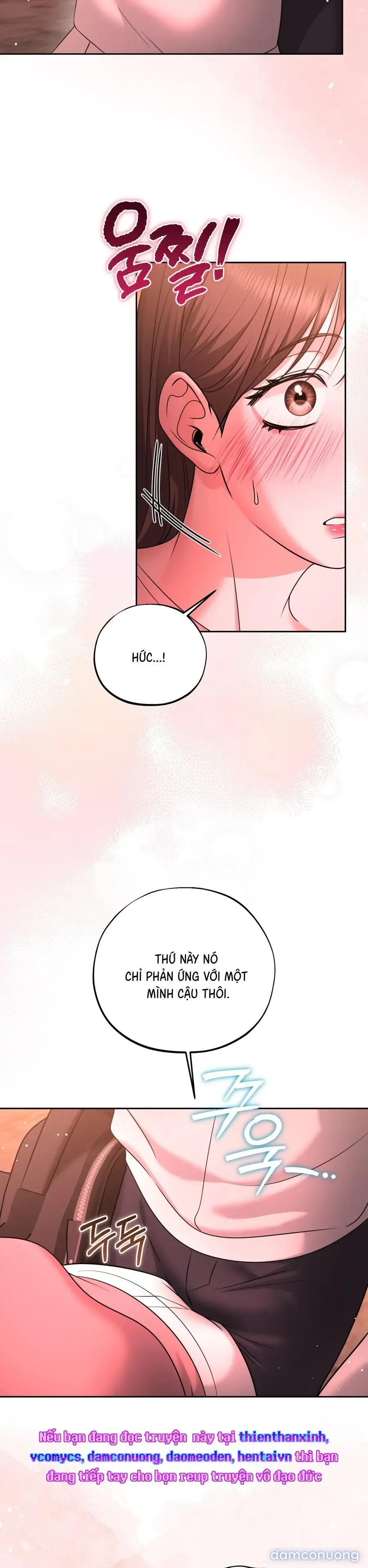 Người Bạn Không Thể Thay Thế 