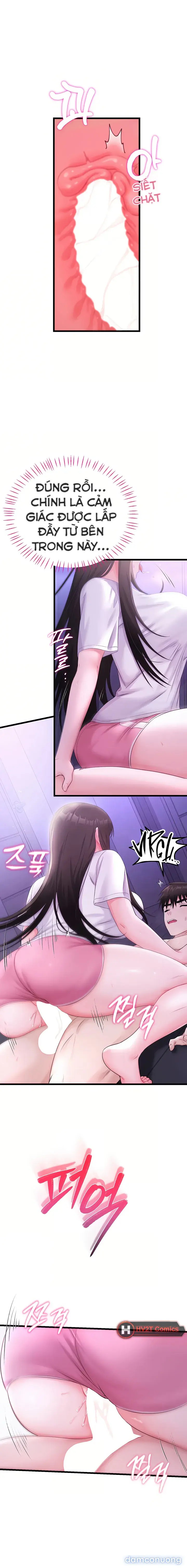 Sex Wiki, Bách khoa dục vọng 