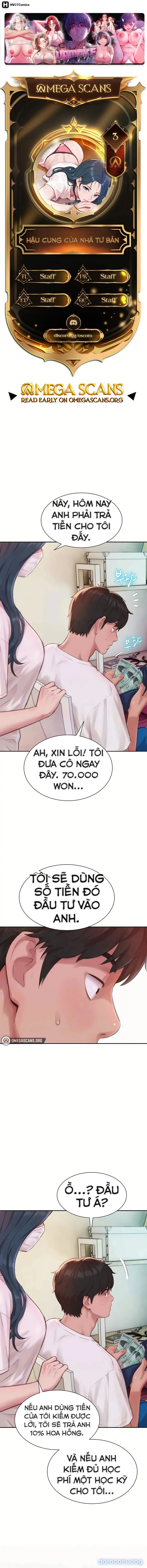Hậu Cung Của Nhà Tư Bản 