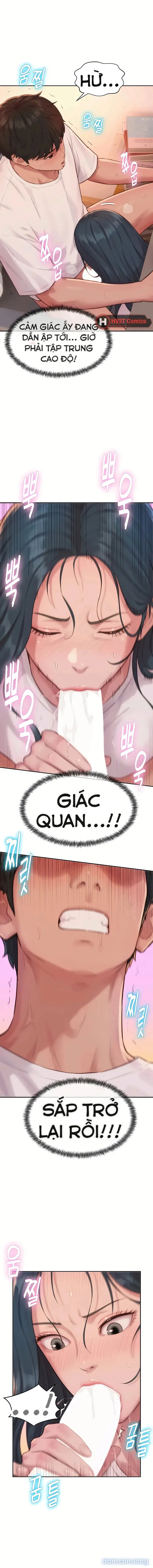 Hậu Cung Của Nhà Tư Bản 