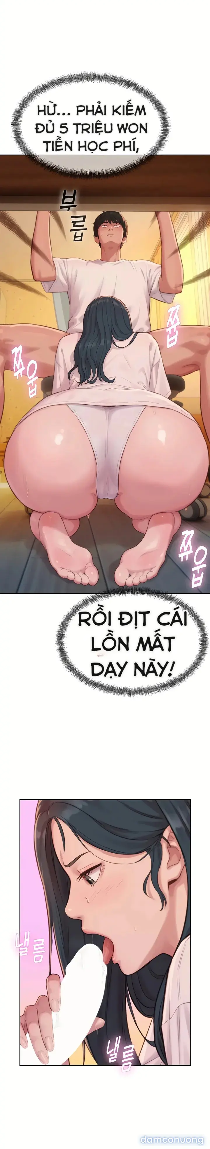 Hậu Cung Của Nhà Tư Bản 