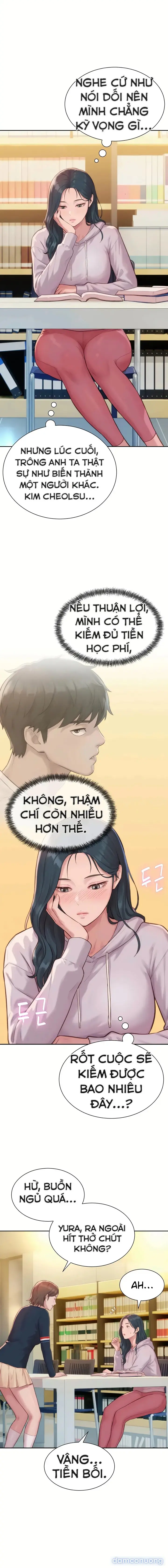Hậu Cung Của Nhà Tư Bản 