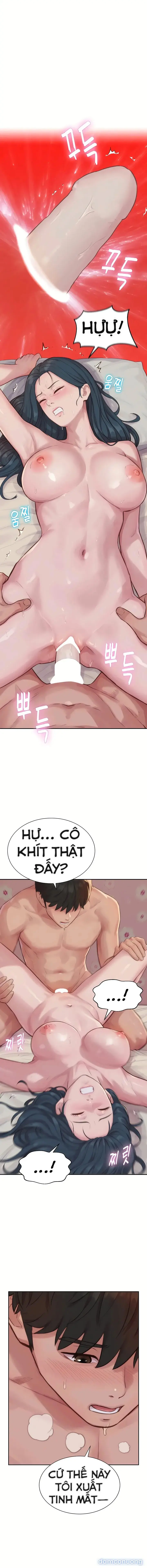Hậu Cung Của Nhà Tư Bản 
